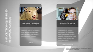 The Roslin Technique Honolulu Technique
The somatic cells are first grown in
culture deprived of nutrients and
then its nucleus is fused with egg
by heat and shock treatment.
- DOLLY
Developed by Dr. Teruhiko
Wakayama at the University of
Hawaii. Here the direct nucleus
extracted from the somatic cell is
made to fuse to the egg using
chemical treatment.
- CUMULINA MOUSE
2
MAJOR
TECHNIQUES
USED
IN
SOMATIC
CLONING
SOURCE : www.google.com, slodeshare- Genetic
manipulations in animals
 