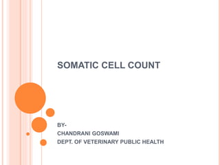 SOMATIC CELL COUNT
BY-
CHANDRANI GOSWAMI
DEPT. OF VETERINARY PUBLIC HEALTH
 