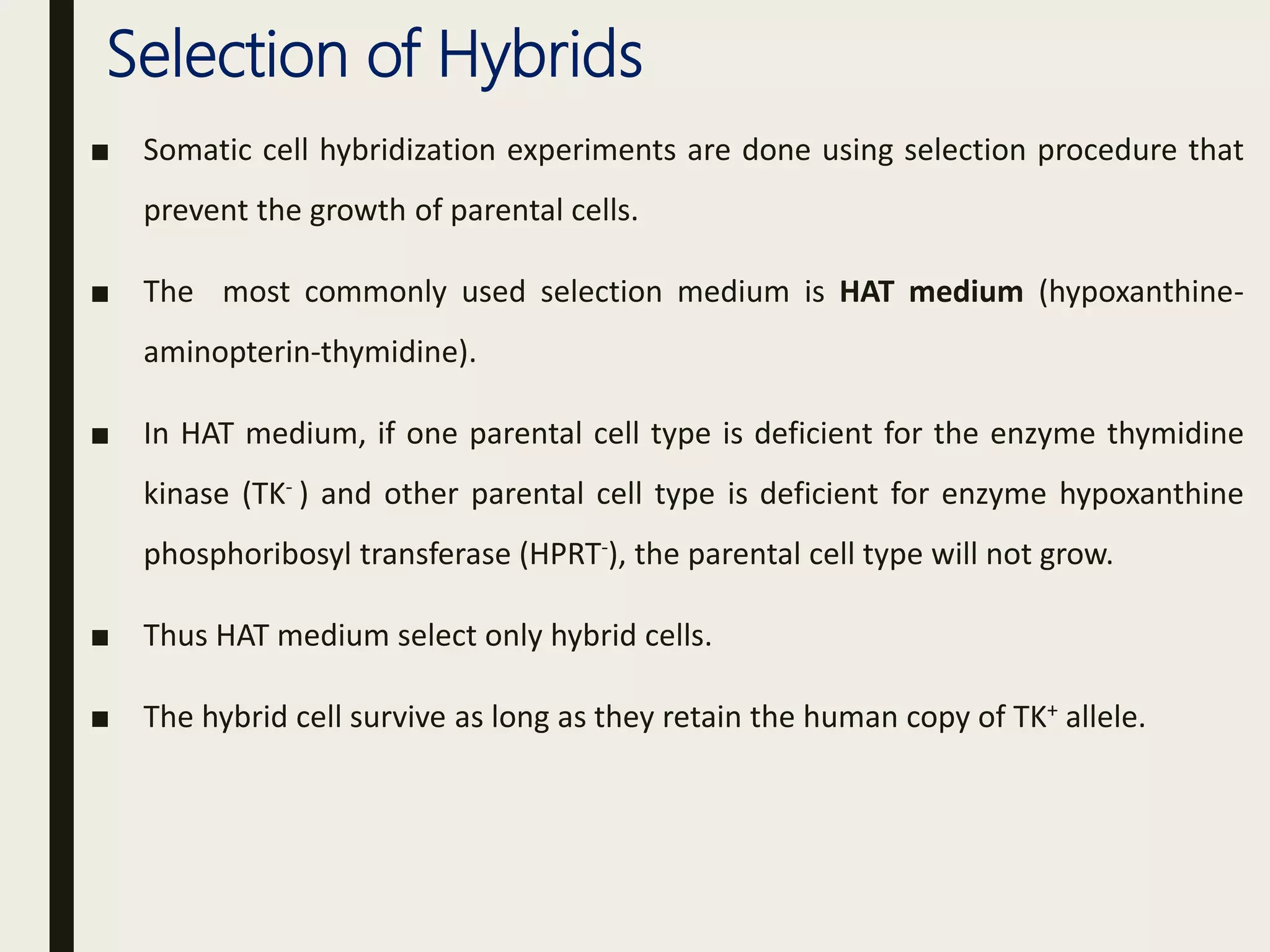 Selection of Hybrids
■ Somatic cell hybridization experiments are done using selection procedure that
prevent the growth of parental cells.
■ The most commonly used selection medium is HAT medium (hypoxanthine-
aminopterin-thymidine).
■ In HAT medium, if one parental cell type is deficient for the enzyme thymidine
kinase (TK- ) and other parental cell type is deficient for enzyme hypoxanthine
phosphoribosyl transferase (HPRT-), the parental cell type will not grow.
■ Thus HAT medium select only hybrid cells.
■ The hybrid cell survive as long as they retain the human copy of TK+ allele.
 