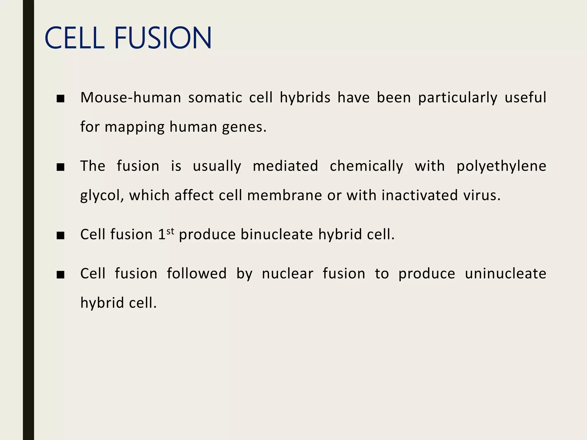 CELL FUSION
■ Mouse-human somatic cell hybrids have been particularly useful
for mapping human genes.
■ The fusion is usually mediated chemically with polyethylene
glycol, which affect cell membrane or with inactivated virus.
■ Cell fusion 1st produce binucleate hybrid cell.
■ Cell fusion followed by nuclear fusion to produce uninucleate
hybrid cell.
 