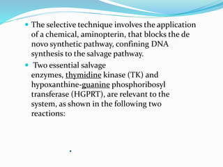 .
 The selective technique involves the application
of a chemical, aminopterin, that blocks the de
novo synthetic pathway, confining DNA
synthesis to the salvage pathway.
 Two essential salvage
enzymes, thymidine kinase (TK) and
hypoxanthine-guanine phosphoribosyl
transferase (HGPRT), are relevant to the
system, as shown in the following two
reactions:
 