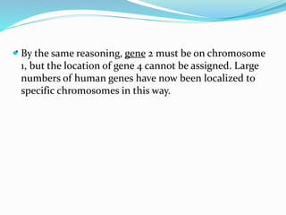 . By the same reasoning, gene 2 must be on chromosome
1, but the location of gene 4 cannot be assigned. Large
numbers of human genes have now been localized to
specific chromosomes in this way.
 