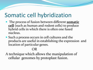 Somatic cell hybridization
 The process of fusion between different somatic
cell (such as human and rodent cells) to produce
hybrid cells in which there is often one fused
nucleus.
 Such a process occurs in cell cultures and the
products are useful in establishing the expression and
location of particular genes.
OR
A technique which allows the manipulation of
cellular genomes by protoplast fusion.
 