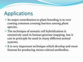 Applications
 Its major contribution to plant breeding is in over
coming common crossing barriers among plant
species.
 The technique of somatic cell hybridization is
extensively used in human genome mapping, but it
can in principle be used in many different animal
systems.
 It is very important technique which develop and most
famous for producing mono-colonal antibodies.
 