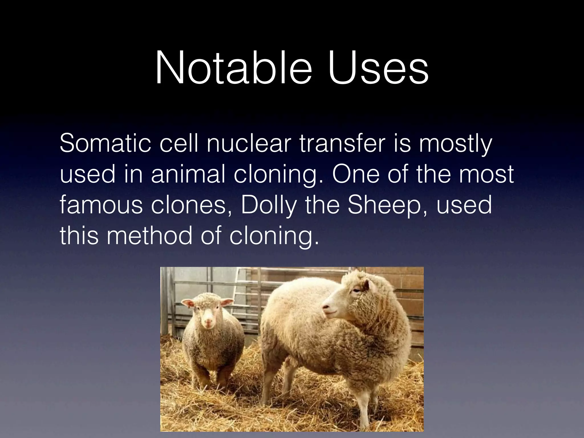 Notable Uses
Somatic cell nuclear transfer is mostly
used in animal cloning. One of the most
famous clones, Dolly the Sheep, used
this method of cloning.
 