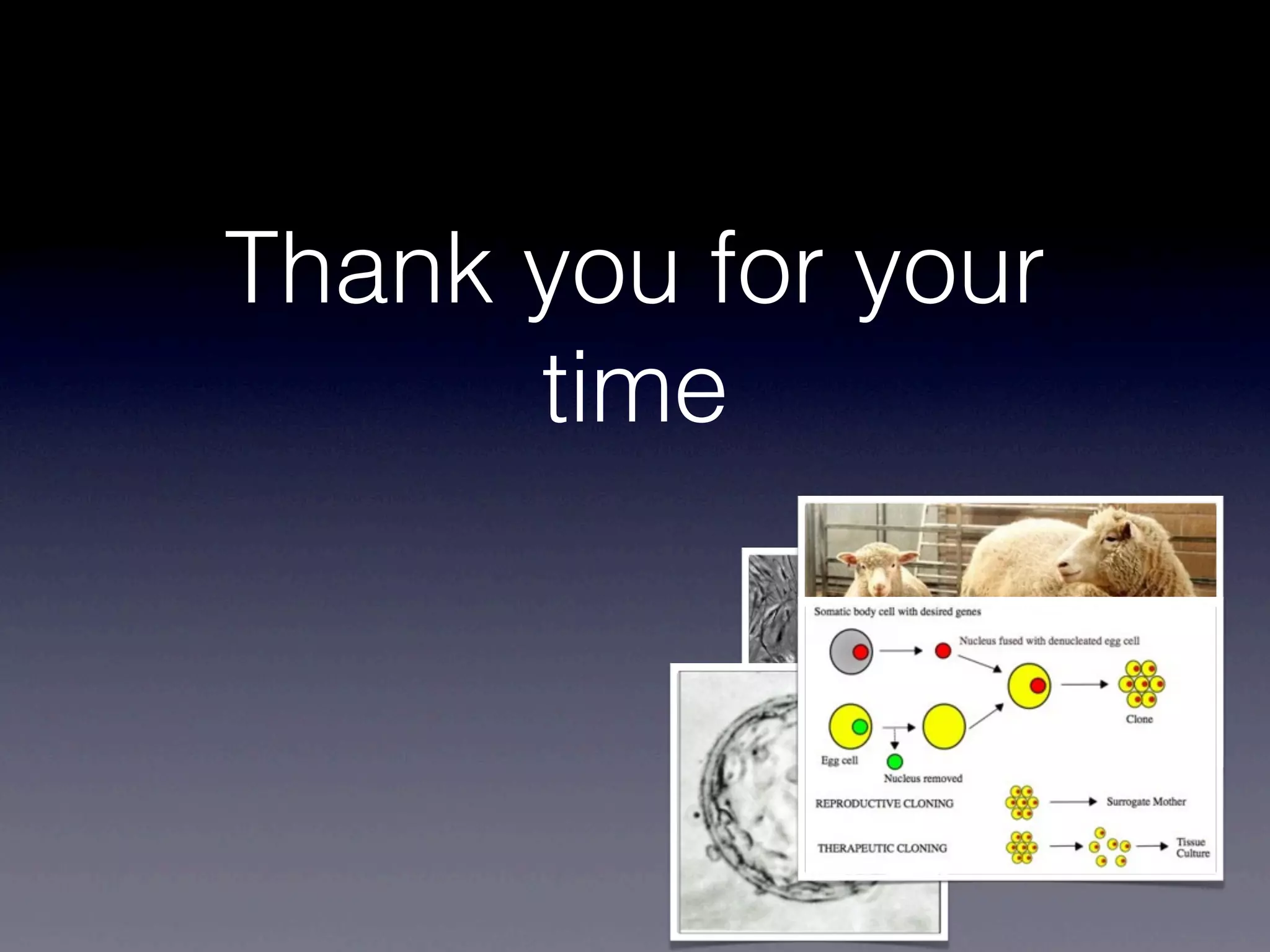 Thank you for your
      time
 