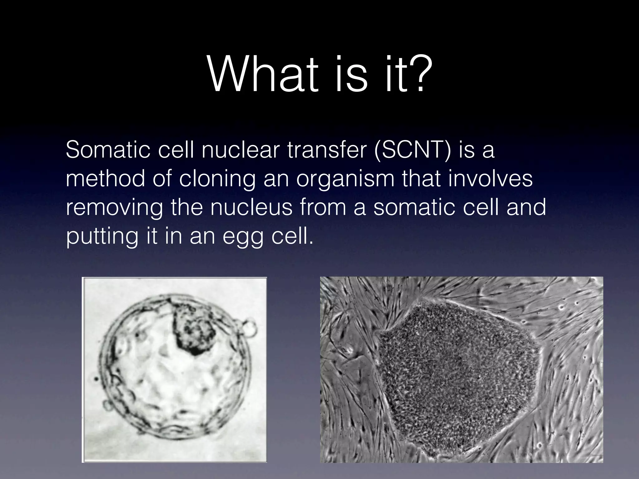 What is it?
Somatic cell nuclear transfer (SCNT) is a
method of cloning an organism that involves
removing the nucleus from a somatic cell and
putting it in an egg cell.
 