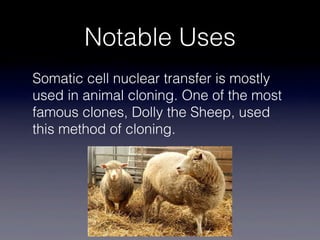 Notable Uses
Somatic cell nuclear transfer is mostly
used in animal cloning. One of the most
famous clones, Dolly the Sheep, used
this method of cloning.
 