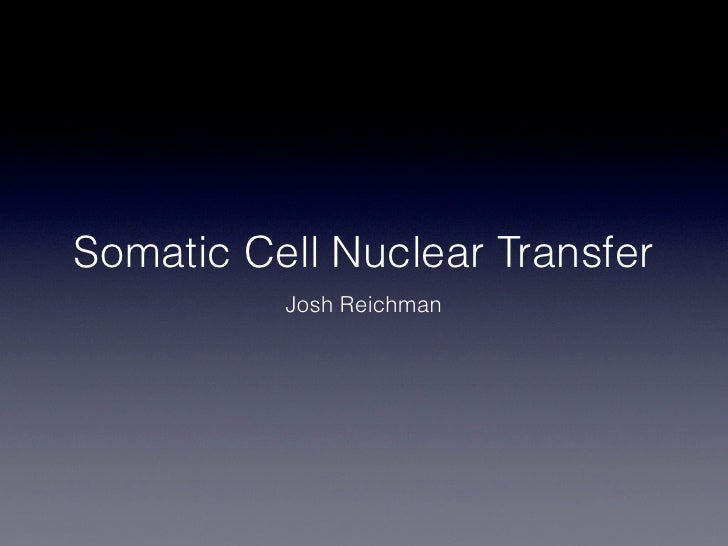 somatic cell nuclear transfer essay How it is done possible benefits a pro-life senator has suggested the term somatic cell nuclear transfer to replace related essay on this. somatic cell nuclear transfer essay How it is done possible benefits a pro-life senator has suggested the term somatic cell nuclear transfer to replace related essay on this.