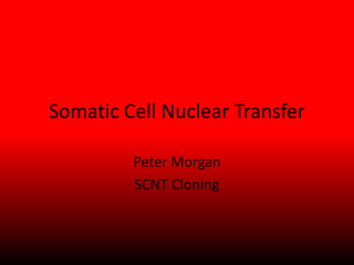 Somatic Cell Nuclear Transfer

         Peter Morgan
         SCNT Cloning
 
