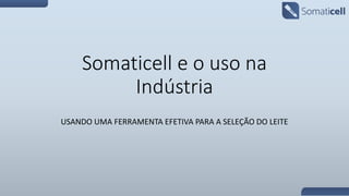 Somaticell e o uso na
Indústria
USANDO UMA FERRAMENTA EFETIVA PARA A SELEÇÃO DO LEITE
 