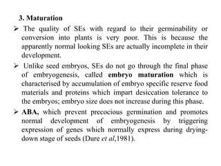 3. Maturation
 The quality of SEs with regard to their germinability or
conversion into plants is very poor. This is because the
apparently normal looking SEs are actually incomplete in their
development.
 Unlike seed embryos, SEs do not go through the final phase
of embryogenesis, called embryo maturation which is
characterised by accumulation of embryo specific reserve food
materials and proteins which impart desiccation tolerance to
the embryos; embryo size does not increase during this phase.
 ABA, which prevent precocious germination and promotes
normal development of embryogenesis by triggering
expression of genes which normally express during drying-
down stage of seeds (Dure et al,1981).
 