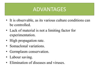 ADVANTAGES
• It is observable, as its various culture conditions can
be controlled.
• Lack of material is not a limiting factor for
experimentation.
• High propagation rate.
• Somaclonal variations.
• Germplasm conservation.
• Labour saving.
• Elimination of diseases and viruses.
 