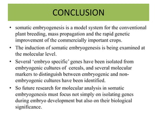 CONCLUSION
• somatic embryogenesis is a model system for the conventional
plant breeding, mass propagation and the rapid genetic
improvement of the commercially important crops.
• The induction of somatic embryogenesis is being examined at
the molecular level.
• Several ‘embryo specific’ genes have been isolated from
embryogenic cultures of cereals, and several molecular
markers to distinguish between embryogenic and non-
embryogenic cultures have been identified.
• So future research for molecular analysis in somatic
embryogenesis must focus not simply on isolating genes
during embryo development but also on their biological
significance.
 