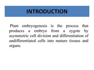INTRODUCTION
Plant embryogenesis is the process that
produces a embryo from a zygote by
asymmetric cell division and differentiation of
undifferentiated cells into mature tissues and
organs.
 