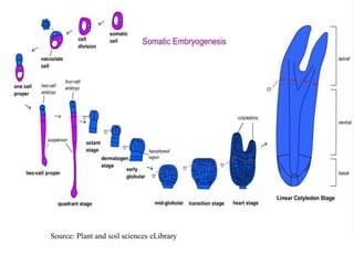 Source: Plant and soil sciences eLibrary
 