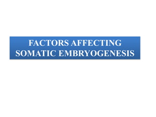 FACTORS AFFECTING
SOMATIC EMBRYOGENESIS
 
