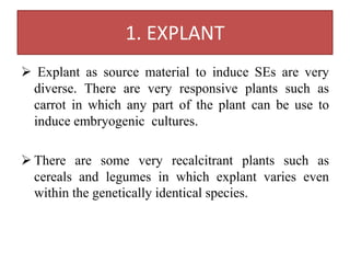 1. EXPLANT
 Explant as source material to induce SEs are very
diverse. There are very responsive plants such as
carrot in which any part of the plant can be use to
induce embryogenic cultures.
 There are some very recalcitrant plants such as
cereals and legumes in which explant varies even
within the genetically identical species.
 