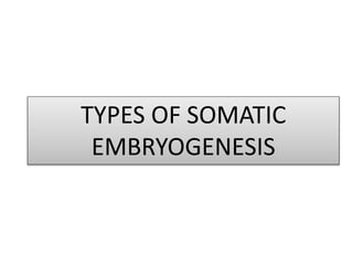 TYPES OF SOMATIC
EMBRYOGENESIS
 