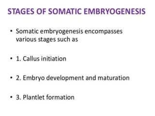 Stages in Embryogenesis
 