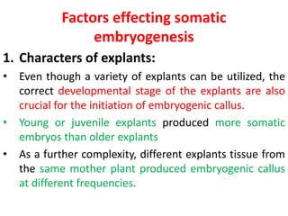 Factors effecting somatic
embryogenesis
1. Characters of explants:
• Even though a variety of explants can be utilized, the
correct developmental stage of the explants are also
crucial for the initiation of embryogenic callus.
• Young or juvenile explants produced more somatic
embryos than older explants
• As a further complexity, different explants tissue from
the same mother plant produced embryogenic callus
at different frequencies.
 