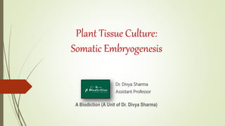 Plant Tissue Culture:
Somatic Embryogenesis
Dr. Divya Sharma
Assistant Professor
A Biodiction (A Unit of Dr. Divya Sharma)
 