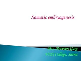 Mrs. Praveen Garg
VITS College, Satna
 