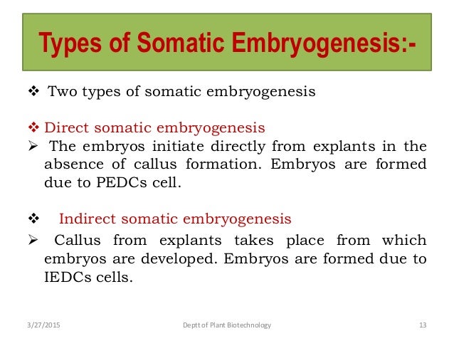 somatic embryogenesis   27 march 15  3 00 pm