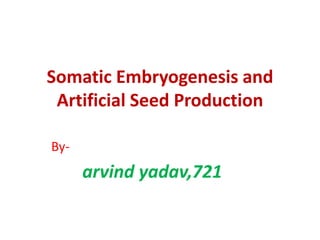 Somatic Embryogenesis and
Artificial Seed Production
By-
arvind yadav,721
 