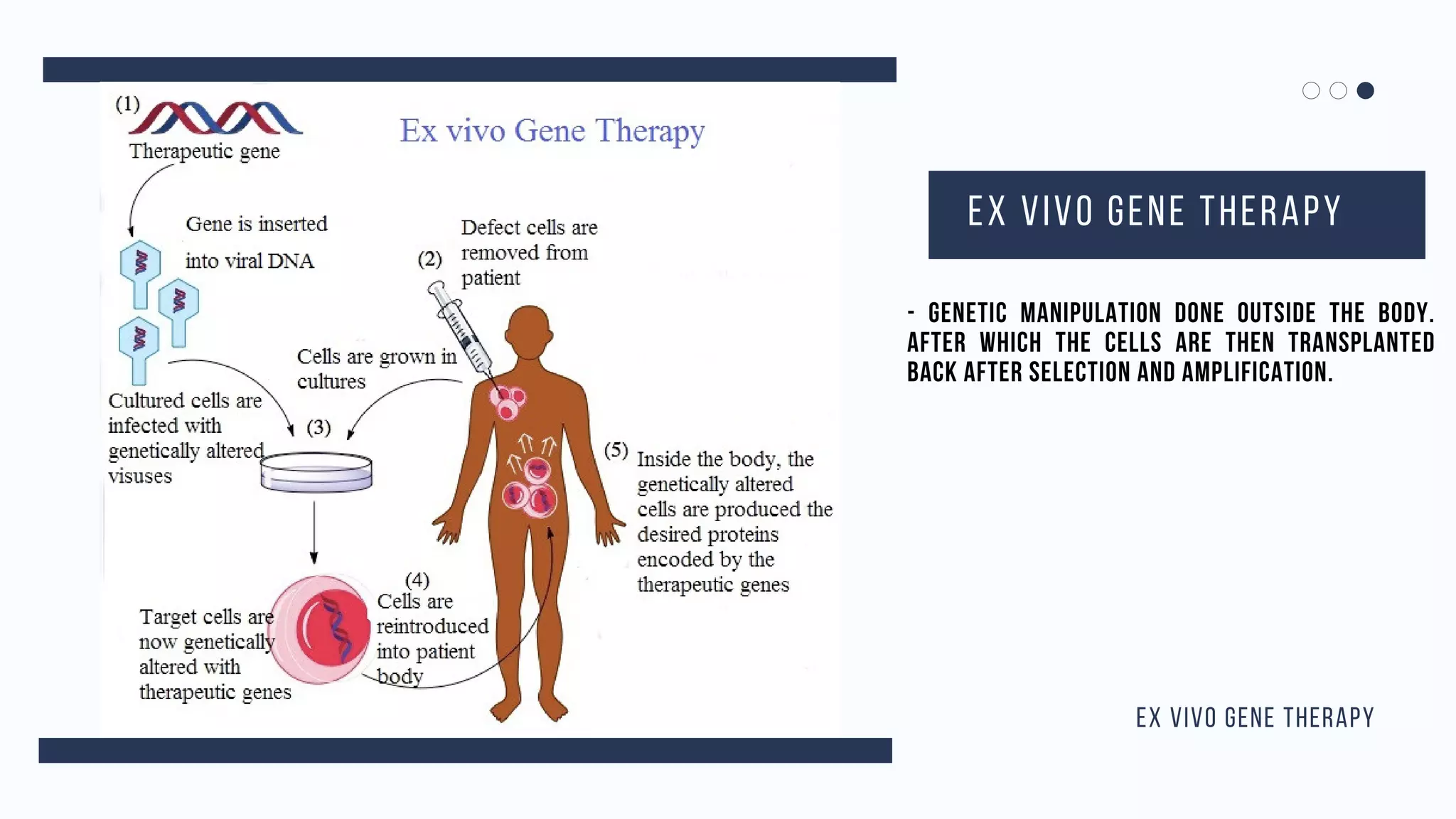 Somatic Gene Therapy Pdf