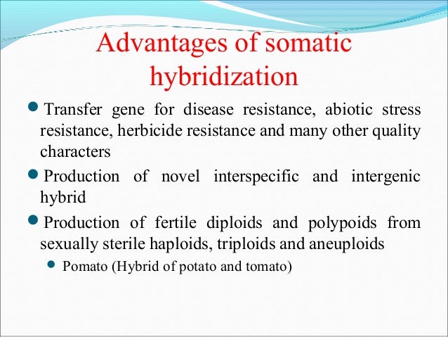 somatic hybridization ppt Somatic hybridization: aspects, applications and limitations.