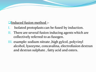 Induced fusion method :-
I. Isolated protoplasts can be fused by induction.
II. There are several fusion inducing agents which are
collectively referred to as fusogen.
III. example: sodium nitrate ,high gylcol, polyvinyl
alcohol, lysozyme, concavalina, electrofusion dextran
and dextran sulphate , fatty acid and esters.
 