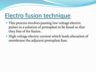 Electro fusion technique
 This process involves passing low voltage electric
pulses in a solution of protoplast to be fused so that
they line of for fusion .
 High voltage electric current which leads alteration of
membrane the adjacent protoplast fuse.
 