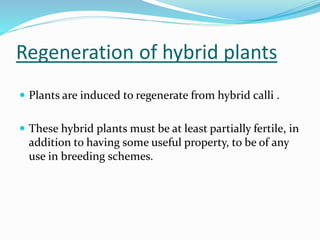 Regeneration of hybrid plants
 Plants are induced to regenerate from hybrid calli .
 These hybrid plants must be at least partially fertile, in
addition to having some useful property, to be of any
use in breeding schemes.
 