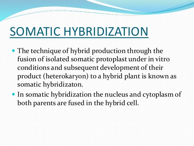 somatic hybridization ppt Somatic hybridization.