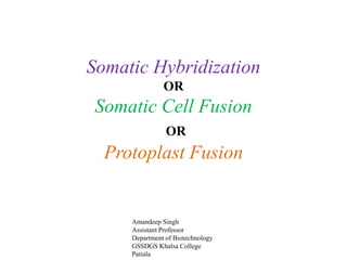 Somatic Hybridization
OR
Somatic Cell Fusion
OR
Protoplast Fusion
Amandeep Singh
Assistant Professor
Department of Biotechnology
GSSDGS Khalsa College
Patiala
 