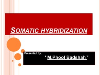 SOMATIC HYBRIDIZATION
Presented by
‘ M.Phool Badshah ’
 