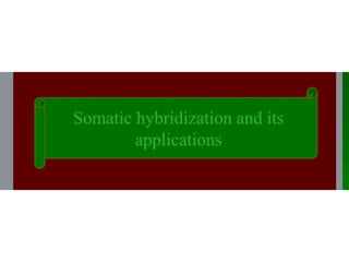 somatic hybridization.pptx