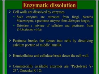 somatic hybridization.pptx