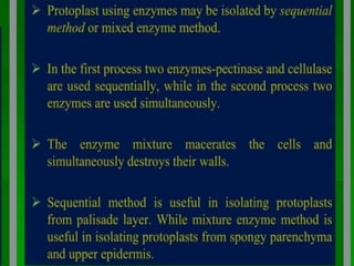 somatic hybridization.pptx