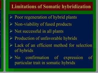 somatic hybridization.pptx