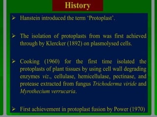 somatic hybridization.pptx