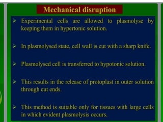 somatic hybridization.pptx