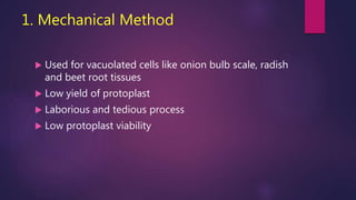 1. Mechanical Method
 Used for vacuolated cells like onion bulb scale, radish
and beet root tissues
 Low yield of protoplast
 Laborious and tedious process
 Low protoplast viability
 