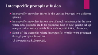 Interspecific protoplast fusion
 Interspecific protoplast fusion is the crosses between two different
species.
 Interspecific protoplast fusions are of much importance in the area
where new products are to be produced. Due to new genetic set up
many noval secondary metabolites such as, antibiotics, phenolics.,
 Some of the examples where interspecific hybrids were produced
through protoplast fusion are:
- S. cerevisiae x S. fermentali,
 