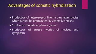 Advantages of somatic hybridization
 Production of heterozygous lines in the single species
which cannot be propagated by vegetative means
 Studies on the fate of plasma genes
 Production of unique hybrids of nucleus and
cytoplasm
 