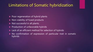 Limitations of Somatic hybridization
 Poor regeneration of hybrid plants
 Non-viability of fused products
 Not successful in all plants.
 Production of unfavorable hybrids
 Lack of an efficient method for selection of hybrids
 No confirmation of expression of particular trait in somatic
hybrids
 