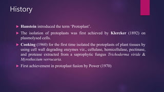 History
 Hanstein introduced the term ‘Protoplast’.
 The isolation of protoplasts was first achieved by Klercker (1892) on
plasmolysed cells.
 Cooking (1960) for the first time isolated the protoplasts of plant tissues by
using cell wall degrading enzymes viz., cellulase, hemicellulase, pectinase,
and protease extracted from a saprophytic fungus Trichoderma viride &
Myrothecium verrucaria.
 First achievement in protoplast fusion by Power (1970)
 