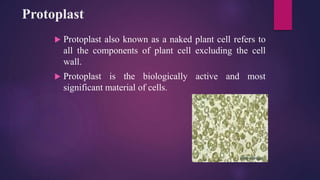 Protoplast
 Protoplast also known as a naked plant cell refers to
all the components of plant cell excluding the cell
wall.
 Protoplast is the biologically active and most
significant material of cells.
 