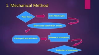 1. Mechanical Method
Plant Tissue
Collection of protoplasm
Cells Plasmolysis
Microscope Observation of cells
Cutting cell wall with knife
Release of protoplasm
 